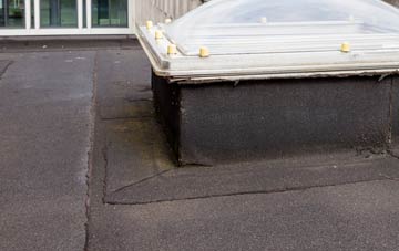 disadvantages of The Sheddings flat roofs